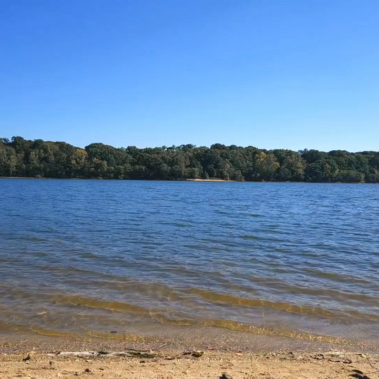 Soothing Lakeside Saxophone