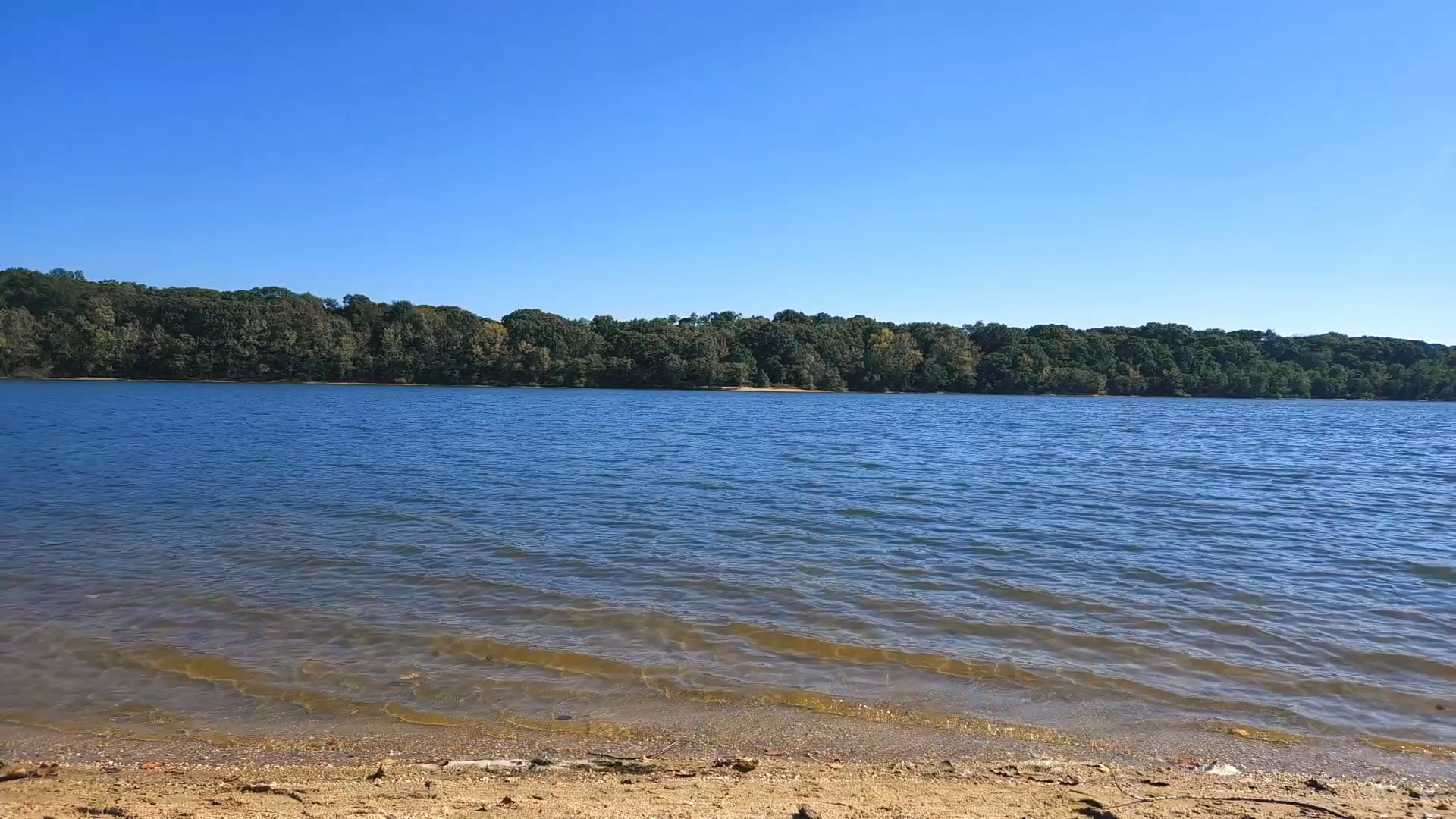 Soothing Lakeside Saxophone
