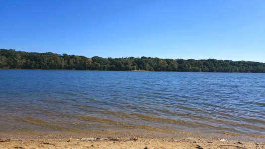 Soothing Lakeside Saxophone