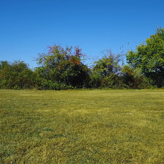 Tranquil Meadow Saxophone